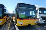 (285'915) - Wieland, Murten - Nr.