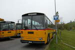 (281'378) - Schmid, Thrishaus - BE 26'206 - Saurer/Tscher (ex P 24'244) am 12.