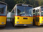 (197'981) - Schmid, Glarus - GL 4012 - Saurer/Tscher (ex Mosimann, Aesch; ex Erne, Full; ex P 24'257) am 30.