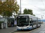 (256'246) - VBZ Zrich - Nr. 501/ZH 956'501 - MAN am 21. Oktober 2023 in Zrich, Brkliplatz