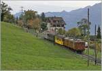 b-c-blonay-chamby/830444/la-der-de-la-saison-2023 'La DER de la Saison 2023' - Die Bernina Bahn RhB Ge 4/4 81 der Blonay-Chamby Bahn mit dem 'Velours'-Express von Chaulin nach Vevey bei Cornaux. 

29. Okt. 2023