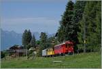 Ein kleiner Zug auf grosser Fahrt: Der RhB Bernina Bahn ABe 4/4 I N° 35 der Blonay Chamby Bahn ist mit dem Bernina Bahn As2 und dem MOB B4 N° 61 (beide auch Blonay-Chamby) als  Valrose Nostalgie Express  kurz vor Les Avants auf der Fahrt von Montreux nach Rougemont.  

15. Juni 2025