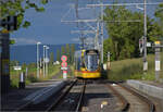 Birsigtalbahn.

BLT Tango Be 4/10 165 im els�ssischen Leymen. Mai 2024.
