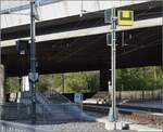 Abschied von einem Unikum, der Mehrsystemoberleitung in Zürich Giesshübel.

Hier in Giesshübel treffen Gleichstrom und Wechselstrom aufeinander. So weicht die 1,2 kV Gleichstromfahrleitung der Uetlibergbahn seitlich aus, hier die linke. Im Sonnenlicht sind die beiden Fahrleitungen nebeneinander gut zu betrachten. Auf dem Nachbargleis der Sihltalbahn rechts gibt es nur die 15 kV Wechselstromleitung. April 2022.