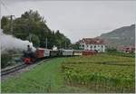Jeweils am letzten Sonntag im Monat verkehrt der Blonay-Chamby Riviera Belle Epoque Zug, nach Vevey und dies mit mit zwei Zugspaaren am Morgen mit Dampf und am Nachmittag elektrisch.