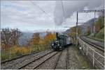  LA DER 2020 du Blonay-Chamby  / Saison Abschluss der Blonay-Chamby Bahn: Mit einem verstärkten Fahrplan und viel Dampf wird vor dem  Winterschlaf  (bzw. Arbeit im Dépôt Chaulin) nochmals viel Betrieb gemacht. Die LEB G 3/3 N° 5 (Baujahr 1890) erreicht mit  ihrem Personenzug von Blonay nach Chaulin den Bahnhof von Chamby. 

24. Okt. 2020