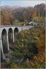 La DER 2021 (Saison Abschluss 2021) Vor dem Hintergrund eines prächtig gefärbten Herbstwaldes fährt die Blonay Chamby G 2x 2/2 105 über den Baye de Clarens Viadukt in Richtung