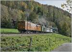 La DER de la Saison!  (Saisonabschlussfeier der Blonay-Chamby Bahn 2022): Es dampft, es raucht es rattert, die Ge 4/4 81 in wieder in der Obhut der B-C und zeigt sich im Gegenlicht mit ihrem