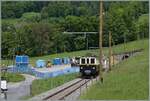 Festival Suisse de la vapeur 2024 / Schweizer Dampffestival 2024 der Blonay-Chamby Bahn - Ein Blick auf die neuen Holzmasten auf dem Streckenabschnitt von Cornaux bis zum Baye de Clarens Tunnel sowie