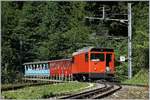 Mit offener Tür, die dann auf Wunsch der Fotografen geschlossen wurde, erreicht der Hem 2/2 N° 11 mit seinen historischen  Belle Epoque Zug  Le Tremblex.