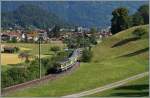 Kurz nach Wilderswil.