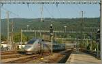 Infolge Bauarbeiten wurde der TGV Bern - Paris ber Biel/Bienne umgeleitet.
Biel/Biene, den 23. Juli 2013