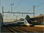 TGV Lyria Lausanne - Paris fährt ohne Halt duch den schon schattigen Bahnhof von Bussigny.