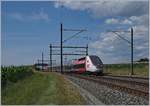 Der TGV Lyria 9261, geführt vom Triebzug N° 4721, hat kurz vor Arnex sein Ziel Lausanne schon fast erreicht. Kurz vor Arnex beschreibt die Trasse einen weiten, offen 180° Bogen, der jedoch vom Gelände, der Vegetation und Sonnenstand her kaum als ganzes ins Bild zu bekommen ist.

14. Juli 2020