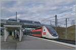 Eine weitere Variante der beiden Bahnh�fe Belfort-Montb�liard TGV (unten) und Meroux (oben). Der TGV LYRIA 9203 von Paris Gare de Lyon nach Z�rich bestehend aus dem Triebzug 4726, bietet dem im Bahnhof von Meroux wartenden SNCF Z73800 Coradia A TER  Baleine  nach Belfort einen recht knappen Anschluss. Weshalb auf der elektrifizierten Strecke Delle - Belfort neuerdings (auch) Dieseltriebz�ge zum Einsatz kommen entzieht sich meiner Kenntnis 10. Dezember 2025 