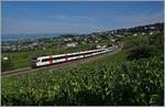 Im Lavaux bei Bossières sind zwei SBB RBDe 560 Domino Züge auf dem Weg nach Lausanne.