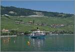 Schon fast ein Zugsuchbild: hinter dem CGN Raddampfer Savoie sind zwei SBB RABe 523 kurz vor Cully auf dem Weg in Richtung Lausanne.
Ansonsten zeigt das Bild, welches von de Schiffsanlegestelle in Cully aufgenommen wurde ein St�ck Lavaux mit seinen Rebbergen und schmucken Ortschaften.
 
18. Juni 2026 