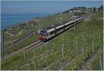 Ein SBB Domino ist auf der  Train des Vignes -Strecke oberhalb von St-Saphirn im Einsatz. 

17. Mai 2020