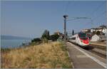 Ein SBB RABe 503 (inoffiziell:) Pinocchio ( Schraubengleicher  Nachbau des ETR 610) ist als EC 40 von Milano Centrale nach Lausanne unterwegs und f�hrt durch den Bahnhof von Rivaz. 

12. August 2026