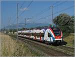 Der SBB LEX RABe 522 229 ist als Léman Express SL5 kurz nach Satigny bei Bourdigny unterwegs.