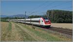 Auf demselben Streckenabschnitt wie das vorangegangenen Bild, also zwischen Essert-Pittet und Ependes, aber im Talboden, entstand dieses Bild zweier SBB RABDe 500 als IC5 auf dem Weg nach Lausanne. 

12. Juli 2025