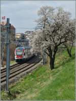 Etwas  Vorfrühling  bei Rivaz. Ein SBB RABe 511 auf der Fahrt nach Genève. 
22. März 2015