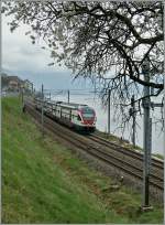 rabe-511-dosto/430273/ein-sbb-rabe-511-auf-der Ein SBB RABe 511 auf der Fahrt Richtung Genève bei Rivaz. 
22. März 2015
