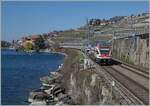 rabe-511-dosto/863590/der-sbb-rabe-511-020-ist Der SBB RABe 511 020 ist im Umleitungsverkehr als RE bei Rivaz am Genfer See unterwegs. 

20. März 2021