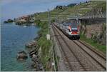 Der SBB RABe 511 103 ist als RE33 18467 von Annemasse nach Martigny kurz nach Rivaz unterwegs.