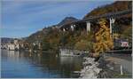 Ein Herbstbild mit wenig Zug: Beim Château de Chillon ist ein SBB RABe 511 als RE 33 auf der Fahrt von Annemasse nach St-Maurice.