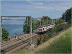 Von der �blichen Fotostelle ein paar Schritte abgewichen, zeigt sich ein v�llig anderes Bild - ein SBB RABe 511 ist als RE auf dem Weg in Richtung St-Maurice. 

30. Juni 2025