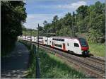 Ein SBB RABe 512 als RE 33 zwischen St-Jean und Junction auf der Fahrt nach Annemasse.

1. Juni 2026
