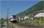 Eher selten sind Flirts RABe 523 auf der Jurafuss Strecke Biel/Bienen Neuch�tel zu sehne, da hier meist SBB Domino Z�ge eingesetzt werden. Nun, im Bild ist der SBB RABe 523 056 zu sehen, der wohl in einem Domino Umlauf eingesetzt, in K�rze Ligerz erreichen wird, wobei der Zug am geschlossen Bahnhof nicht halten wird.

19. Juni 2025