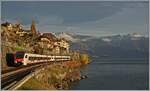 Zwei SBB RABe 523 sind bei St-Saphorin auf dem Weg in Richtung Bex, der Blick gleitet weit über den See bis zum Château de Chillon.