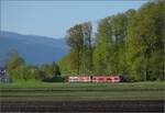 Auf der Biel-Täuffelen-Ins Bahn.