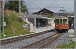 Der BLM Be 4/4 31  Lisi  verlässt die Station Winteregg in Richtung Mürren.