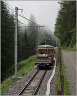 blm-bergbahn-lauterbrunnen-murren/855643/der-blm-be-44-31-lisi Der BLM Be 4/4 31 'Lisi' (ex Bipperlisi - SNB/OJB) ist mit einem Vorstellwagen kurz nach Mürren auf der Fahrt nach der Grütschalp. 

23. Juli 2024