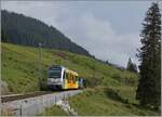 Der Be 4/6 101  Eiger  ist zwischen Winteregg und der Grütschalp unterwegs.