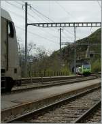 Es herrschter erfreulich viel Verkehr auf der BLS bergstrecke, whernd der Dauere des durch geplante Rettungsbung geschlossenen Basistunnels. 
Ausserberg, den 4. Mai 2013