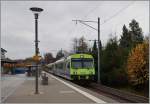 Ein BLS Regionalzug nach Lyss wartet in Bren an der Aare auf die Abfahrt.
15. Nov. 2014