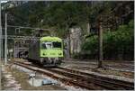 bls-lotschbergbahn/859006/mit-dem-bt-955-an-der Mit dem Bt 955 an der Spitze erreicht ein BLS Autotunnelzug den Bahnhof von Iselle. 

17. August 2024