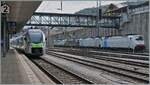 bls-lotschbergbahn/860760/vor-dem-hintergrund-der-durch-die Vor dem Hintergrund der durch die Baubedingte Simplon Sperre zwischen Iselle und Domodossola vom 9. bis 31. August nicht benötigter Loks in Spiez, wird der BLS RABe 528 204 MIKA (S-Bann-Variante) bereit gestellt. 

8. Aug. 2024