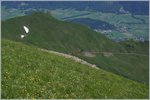 BRB/515550/talwaerts-brienz-entgegen-ruckelt-der-brb Talwärts, Brienz entgegen ruckelt der BRB Dampfzug. Das Bild wurde von der Gipfelstation aus gemacht.
7. Juli 2016