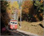 Der CEB BDeh 2/4 N° 73 kommt als Regionalzug 1379 durch den Wald von Chexbres oberhalb von Blonay...
27.10.2015
