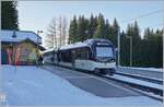 Der CEV MVR ABeh 2/6 7501 ist Les Pleiades angekommen.