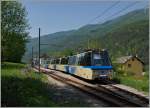 In Gagnone-Orcesco kreuzen sich die beidne Treno Panormico D 61 P und D 54 P.