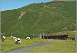 Ein neuer Jungfrau Bahn Pendelzug zwischen Kleiner Scheidegg und Eigergletscher.
8. August 2016