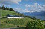 Mit dem kürzlich (nur aussen!) renovierten Ast 151 am Schluss fährt bei Planchamp ein MOB Panoramic Express in Richtung Montreux.