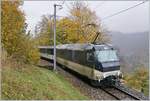 mob-goldenpass/717426/kurz-nach-sendy-sollard-zeigt-sich-die Kurz nach Sendy-Sollard zeigt sich die MOB Ge 4/4 8002 an der Spitze ihres Regionalzugs von Zweisimmen nach Montreux zwischen bunten Herbstfarben. 

28. Okt. 2020