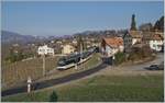 Bei Planchamp ist ein Alpina MOB Regionalzug auf der Fahrt von Zweisimmen nach Montreux unterwegs.